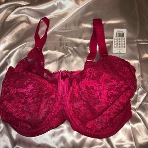 Goddess Adelaide Raspberry Banded Bra